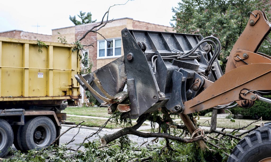 Land Clearing Burleson