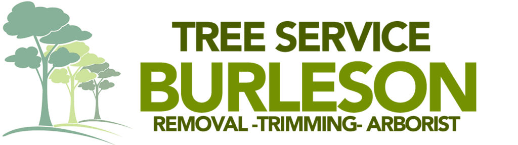 TREE SERVICE BURLESON LOGO