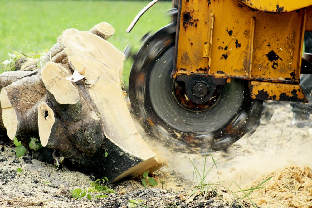 Stump Grinder