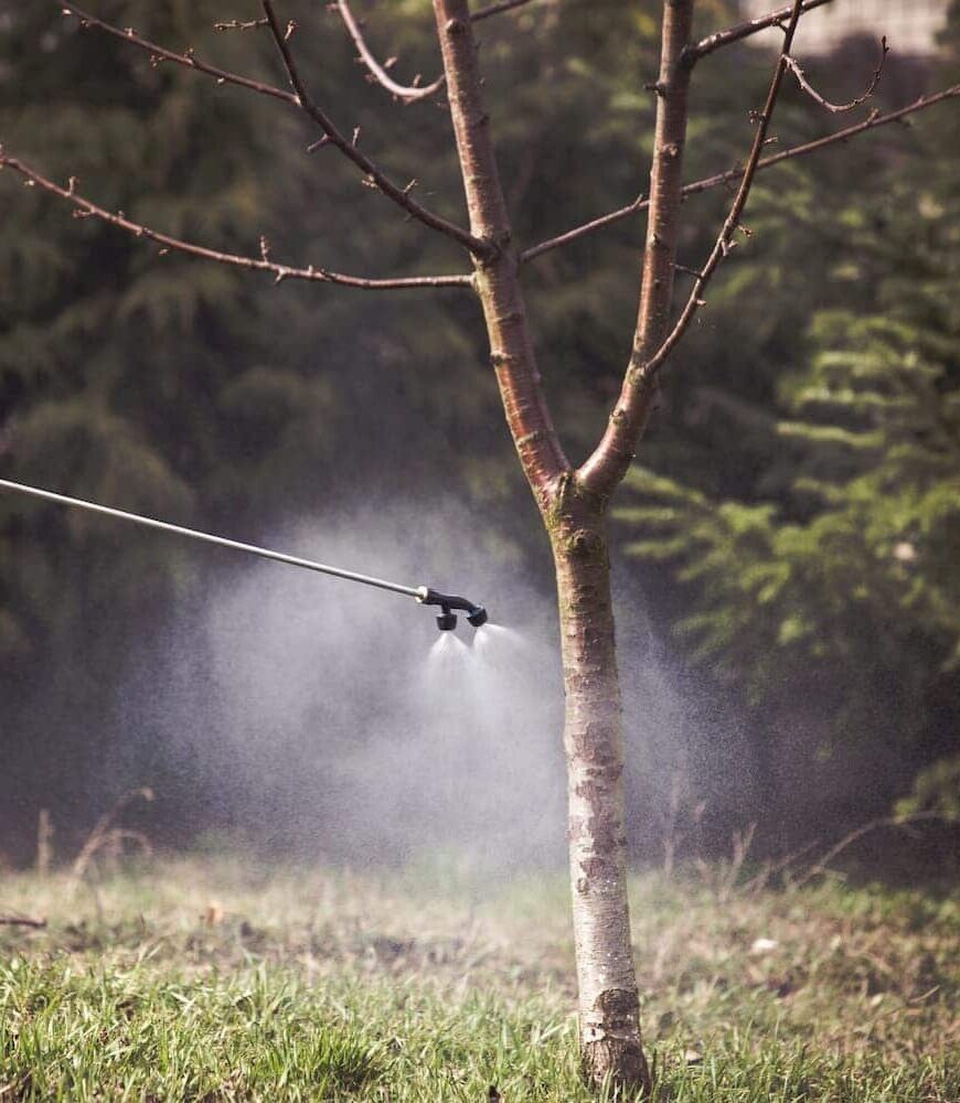 Tree Service Greensboro